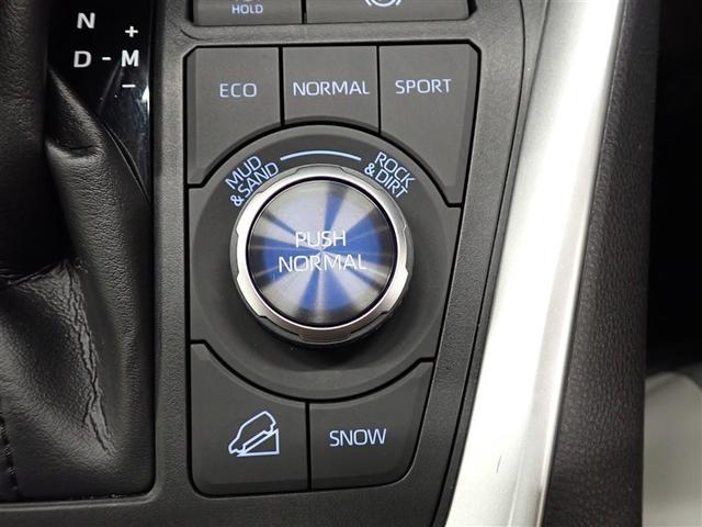 ＲＡＶ４ Ｇ　Ｚパッケージ　４ＷＤ　フルセグ　メモリーナビ　ＤＶＤ再生　バックカメラ　衝突被害軽減システム　ＥＴＣ　ドラレコ　ＬＥＤヘッドランプ　記録簿（35枚目）