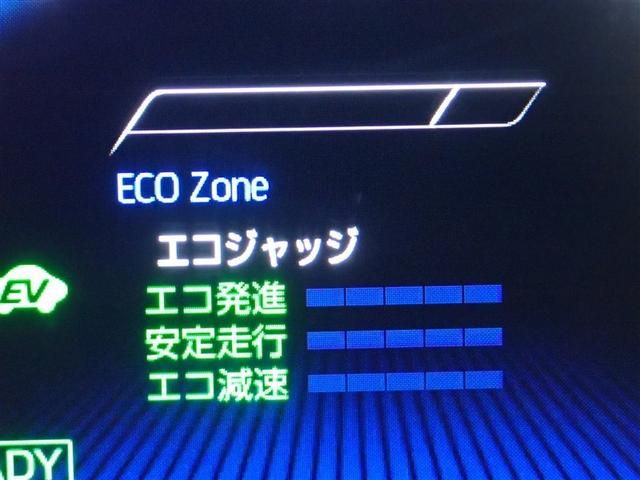 ���[�^�[���C���t�H���[�V����