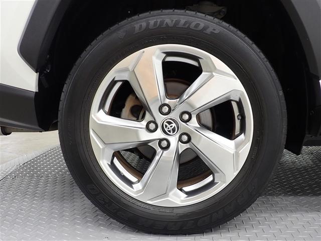 �������h���X�A�b�v���Ă���鏃���A���~�z�C�[��