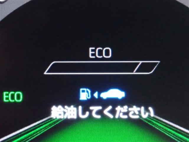 ���[�^�[���C���t�H���[�V����