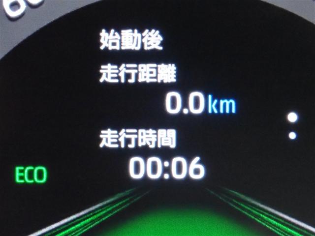 ���[�^�[���C���t�H���[�V����