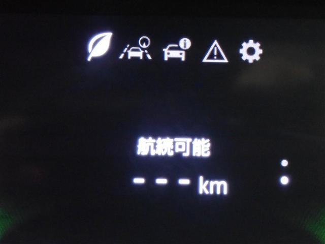 ライズ Ｇ　フルセグ　バックカメラ　衝突被害軽減システム　ＥＴＣ　ドラレコ　ＬＥＤヘッドランプ　記録簿　アイドリングストップ（18枚目）