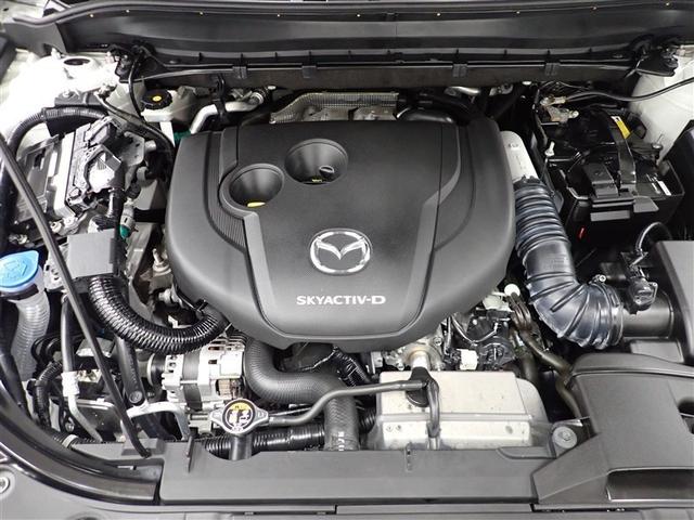 �������h���X�A�b�v���Ă���鏃���A���~�z�C�[��