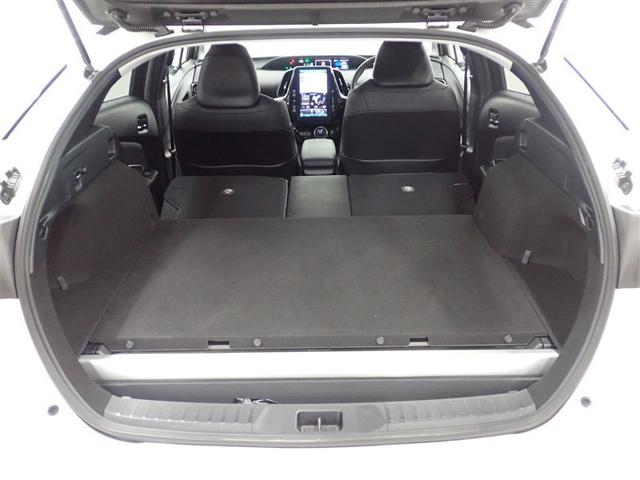 �V�[�g�����X�܂��Y��ɐ�򂵂Ă��܂�