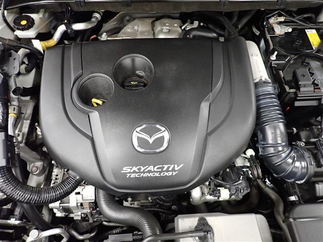 �傫���J���ĉו��̏o�����ꂪ���N���N