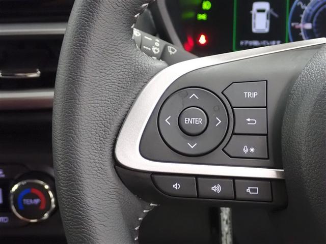 ライズ Ｚ　フルセグ　メモリーナビ　ＤＶＤ再生　バックカメラ　衝突被害軽減システム　ＥＴＣ　ドラレコ　ＬＥＤヘッドランプ　記録簿　アイドリングストップ（31枚目）