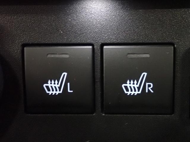 ライズ Ｚ　フルセグ　メモリーナビ　ＤＶＤ再生　バックカメラ　衝突被害軽減システム　ＥＴＣ　ドラレコ　ＬＥＤヘッドランプ　記録簿　アイドリングストップ（33枚目）