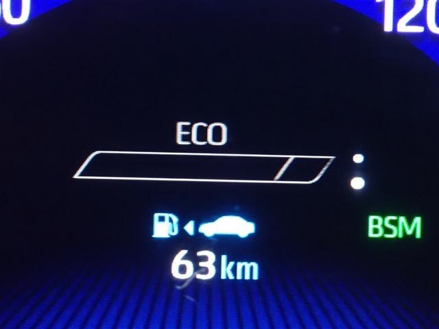 カローラツーリング ダブルバイビー フルセグ メモリーナビ バックカメラ 衝突被害軽減システム ETC ドラレコ LEDヘッドランプ 記録簿(20枚目)