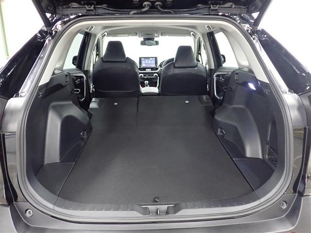 �V�[�g�����X�܂��Y��ɐ�򂵂Ă��܂�