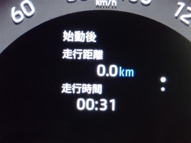 ���H���j���̍����S�v�c��