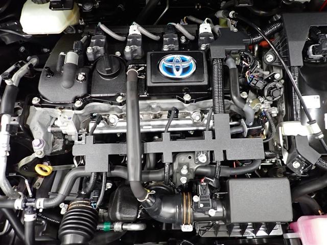 �{�f�B�̂�����ꂪ���N���N�b�o�b�����C�N�{�H