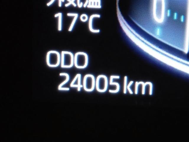 ライズ Ｚ　ワンセグ　メモリーナビ　バックカメラ　衝突被害軽減システム　ＥＴＣ　ＬＥＤヘッドランプ　記録簿　アイドリングストップ（18枚目）