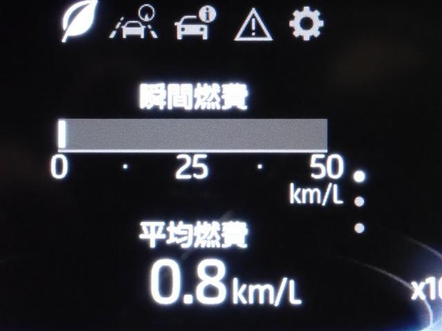 ライズ Ｚ　ワンセグ　メモリーナビ　バックカメラ　衝突被害軽減システム　ＥＴＣ　ＬＥＤヘッドランプ　記録簿　アイドリングストップ（19枚目）