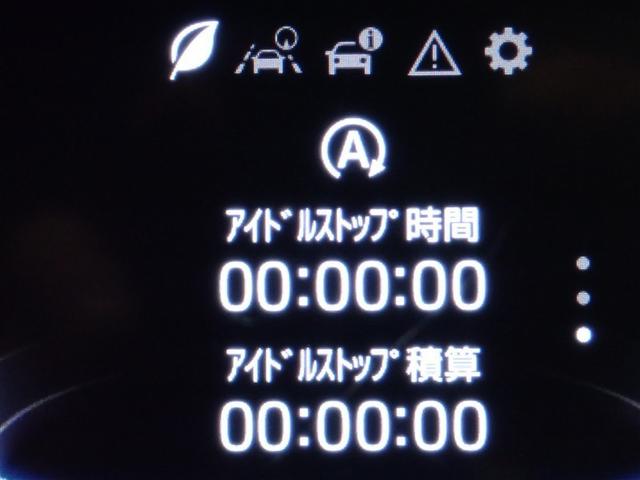 ライズ Ｚ　ワンセグ　メモリーナビ　バックカメラ　衝突被害軽減システム　ＥＴＣ　ＬＥＤヘッドランプ　記録簿　アイドリングストップ（21枚目）