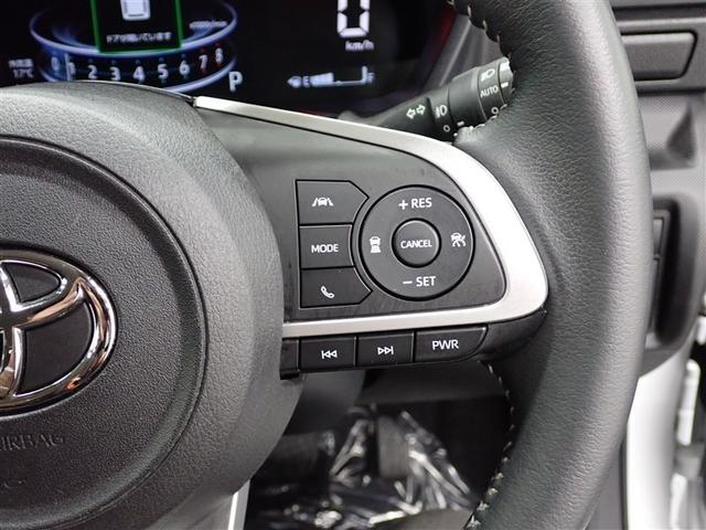 ライズ Ｚ　ワンセグ　メモリーナビ　バックカメラ　衝突被害軽減システム　ＥＴＣ　ＬＥＤヘッドランプ　記録簿　アイドリングストップ（33枚目）