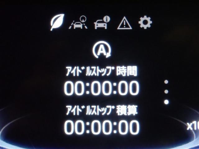 ライズ Ｚ　フルセグ　メモリーナビ　ＤＶＤ再生　バックカメラ　衝突被害軽減システム　ＥＴＣ　ＬＥＤヘッドランプ　記録簿　アイドリングストップ（22枚目）