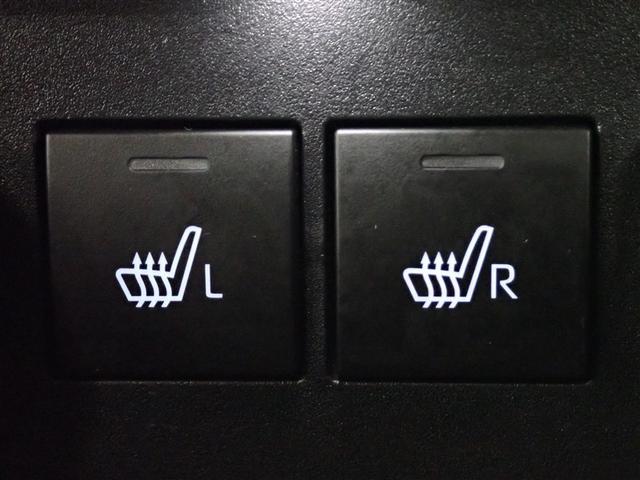 ライズ Ｚ　フルセグ　メモリーナビ　ＤＶＤ再生　バックカメラ　衝突被害軽減システム　ＥＴＣ　ＬＥＤヘッドランプ　記録簿　アイドリングストップ（34枚目）