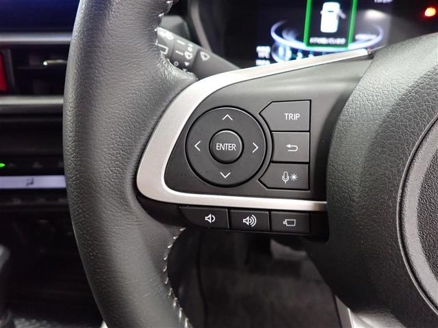 ライズ Ｚ　フルセグ　メモリーナビ　ＤＶＤ再生　バックカメラ　衝突被害軽減システム　ＥＴＣ　ＬＥＤヘッドランプ　記録簿　アイドリングストップ（29枚目）