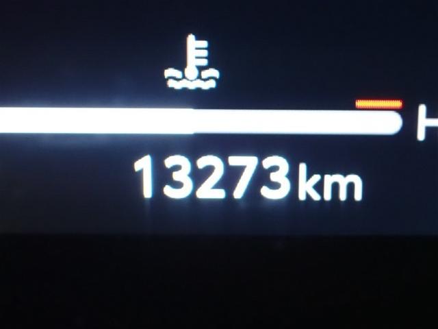 アルファードハイブリッド Z 革シート サンルーフ 4WD フルセグ メモリーナビ ミュージックプレイヤー接続可 後席モニター バックカメラ 衝突被害軽減システム ETC 両側電動スライド LEDヘッドランプ 乗車定員7人 記録簿(19枚目)