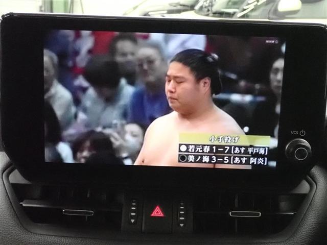 ＲＡＶ４ ハイブリッドＧ　４ＷＤ　フルセグ　メモリーナビ　ミュージックプレイヤー接続可　バックカメラ　衝突被害軽減システム　ＥＴＣ　ドラレコ　ＬＥＤヘッドランプ　フルエアロ（25枚目）