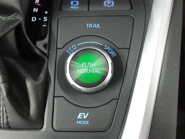 RAV4 ハイブリッドG 4WD フルセグ メモリーナビ DVD再生 バックカメラ 衝突被害軽減システム ETC ドラレコ LEDヘッドランプ(18枚目)
