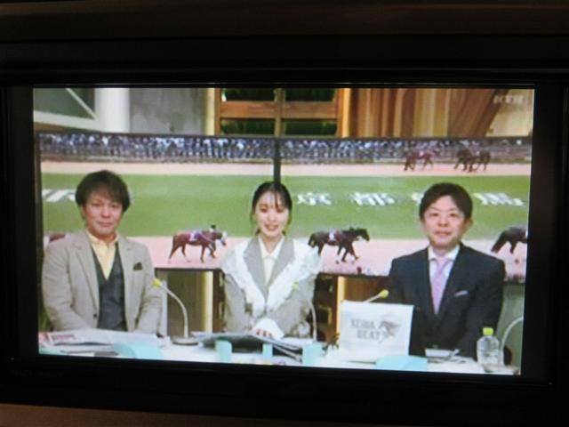 パッソ モーダ　チャーム　フルセグ　メモリーナビ　ＤＶＤ再生　バックカメラ　衝突被害軽減システム　ＥＴＣ　ドラレコ　ＬＥＤヘッドランプ　記録簿　アイドリングストップ（14枚目）