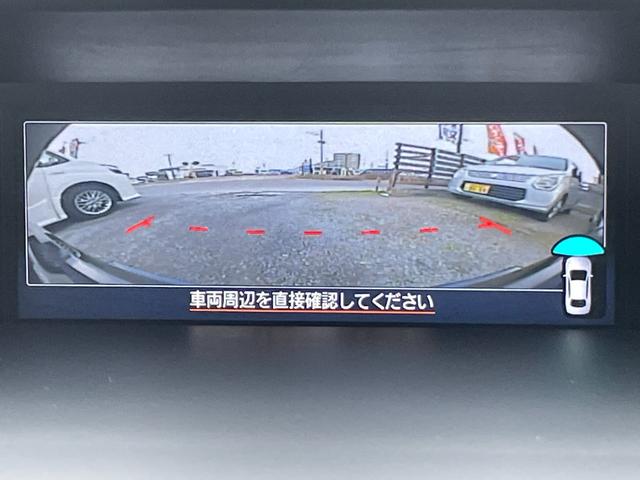 �t�����g�J�����̊g��ł���