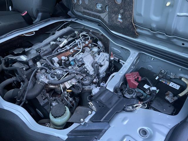 �G���W�����[������ς��ꂢ�ł�����؂ɂ���蒸���Ă����؂ł���