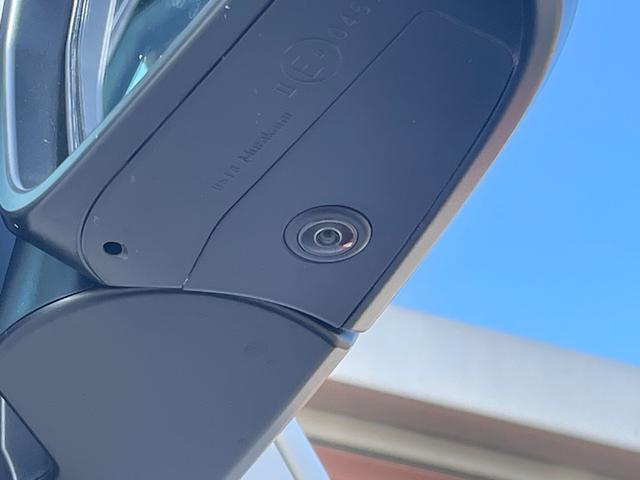 �E�h�A�~���[���̃J�����ł��B