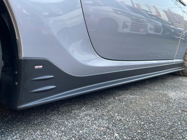 �r�s�h�T�C�h���b�v�X�|�C���[��