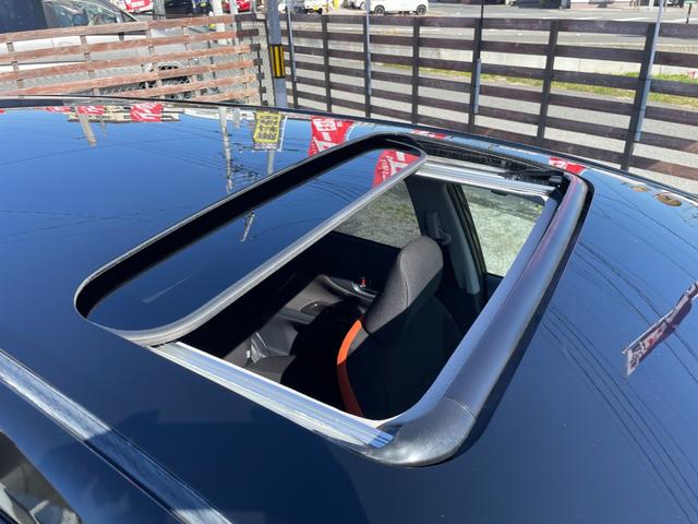 �T�����[�t�t���͔��ɐ������Ȃ��ł����V������������ꂢ�ȏ�Ԃł���