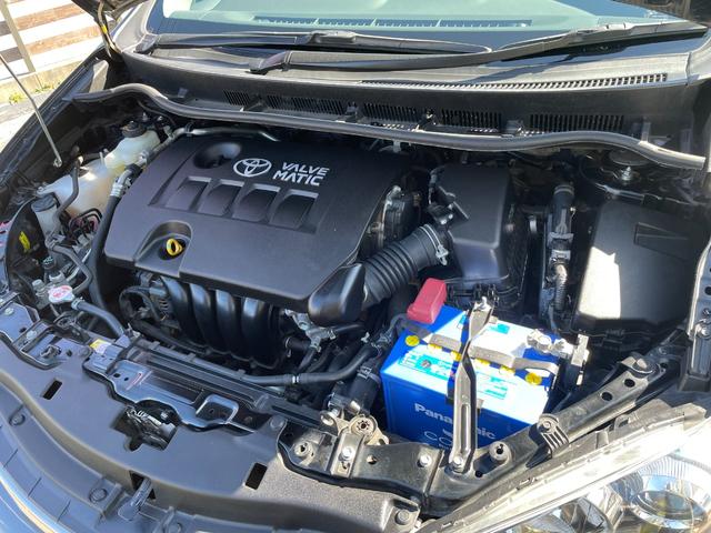 �G���W�����[������ς��ꂢ�ł�����؂ɂ���蒸���Ă����؂ł���