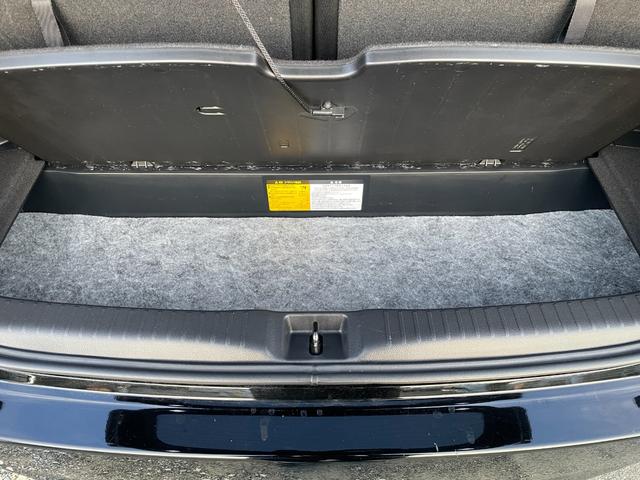 ���Q�b�W�����ɂ�����Ȃɑ傫�Ȏ��[���I