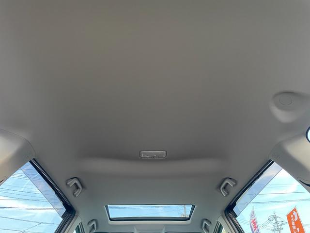 �V����ƂĂ��L���C�ȏ�Ԃł���