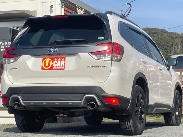 �r�t�u�炵�������܂����f�U�C���Ől�C�́u�t�H���X�^�[�v���ׂł����V�J���P�D�W�k�����^�[�{�G���W���ɂ��A�r�t�u�̑��j���\�Ɨ͋����X�|�[�e�B�ȑ���������������I�[�i�[�ő厖�ɏ��ꂽ�I�X�X���ԗ��ł���