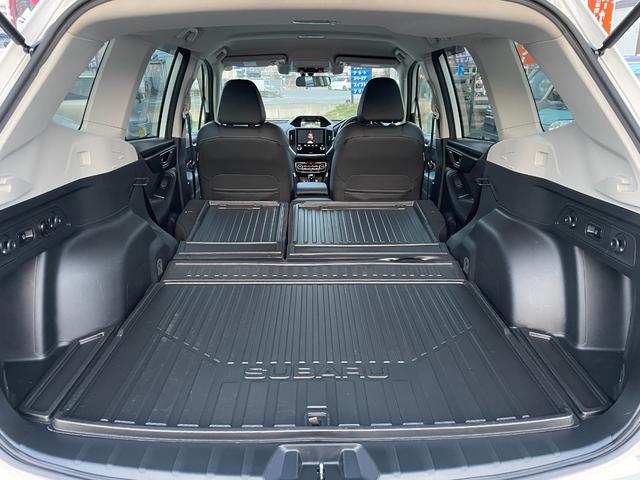 �\���ȍL���̃��Q�b�W���[���ł���