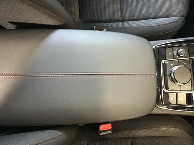 ＣＸ－３０ ２．０　２０Ｓ　ブラックトーンエディション　ナビ　／　全方位モニター　／　ＥＴＣ　／　アルミホイール　スマートキー　電動リアゲート　クリアランスソナー　アイドリングストップ　アラウンドビューモニター　ＬＥＤヘッドランプ　衝突被害軽減システム（33枚目）