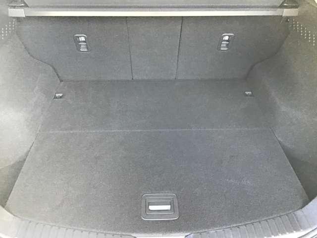 ���A�̃Q�[�g���󂯂�Ƒ傫�ȃ��Q�b�W�X�y�[�X���L����܂��B