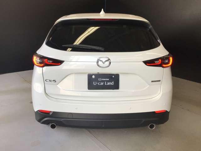 �����A�t�H�������O���͖ڗ������傫�ȃL�Y�≚�݂Ȃǂ͂Ȃ��S�̓I�ɗǍD�ȏ�Ԃł��������X�̏ゲ�m�F����������