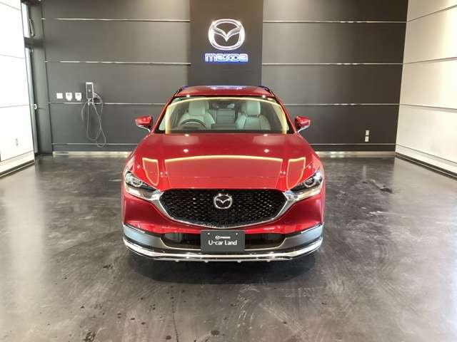 ���͂̃t�����g�}�X�N�ł��I�I