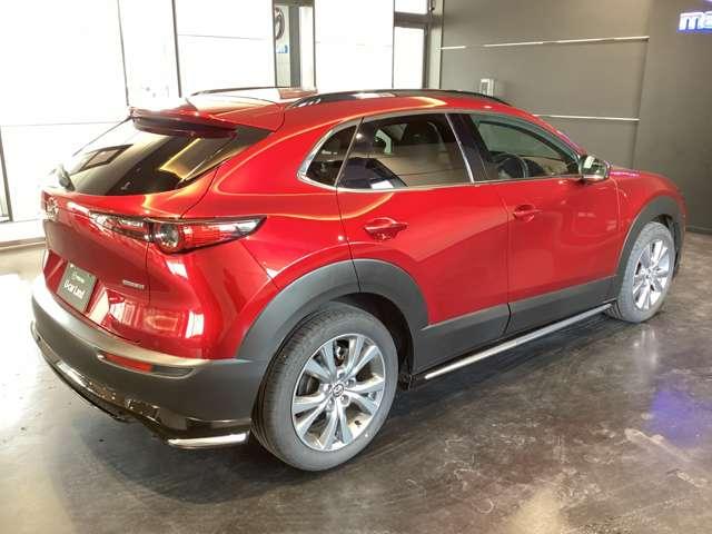 ���A�̃f�U�C���͂r�t�u�炵���͋����f�U�C���ɂȂ��Ă���܂��B