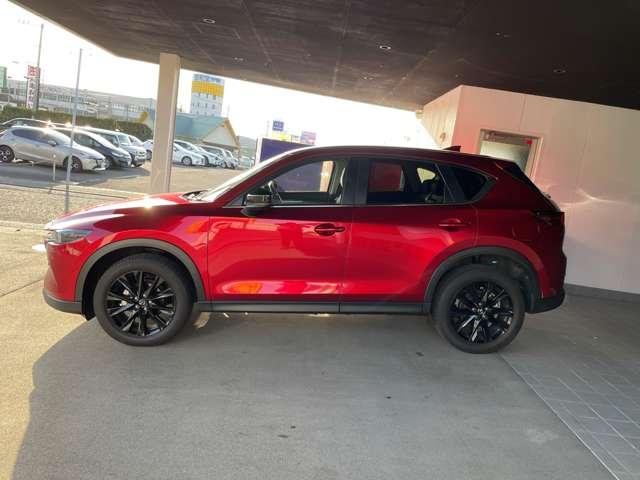 �L�т₩�Ȕ������ƁA�r�t�u�炵���͋�����\���B���͂�����Ȃ���L�т̂��邵�Ȃ₩�ȃf�U�C���Ɏd�グ�܂����B