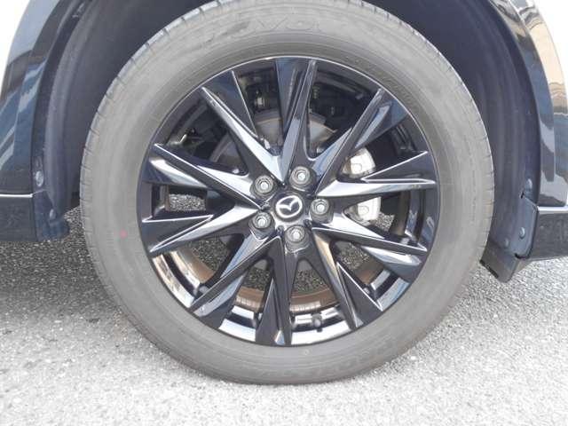 �A���~�z�C�[������������肪�������܂��Č����ăJ�b�R�����ł��ˁ�