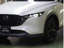 ２０ＳブラックトーンＥＤ　ナビ　ＢＯＳＥサウンド　全方位モニター　ＬＥＤライト　アダプティブクルーズコントロール　電動シート　地デジフルセグ　シートヒータ　バックカメラ　アイドリングストップ　ＥＴＣ　アルミホイール　キーレス（54枚目）