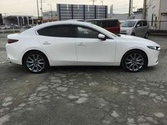 �ͣ��ڣģ��������� �������������ӡ��̥ѥå��������ʥ� 0803582A20260110Z001 6