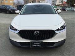 �ãءݣ��� �������������ӡ��̥ѥå��������ʥ� 0803582A20260110Z002 5