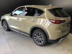 �ãءݣ� ���������أġ��ե�����ɡ����㡼�ˡ����ǥ������륿���� 0803582A20260119Z002 7