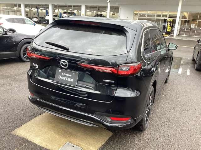 �X���\�����i�ɂ͐�����p���܂܂�Ă���܂��B���_���ɓ��Ђ̗D�G�ȃT�[�r�X�X�^�b�t�ɂ�萔���ڂ̓_�����������{����܂��B���S���Ă��������������܂��B