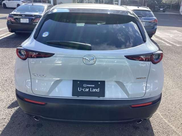 �X���\�����i�ɂ͐�����p���܂܂�Ă���܂��B���_���ɓ��Ђ̗D�G�ȃT�[�r�X�X�^�b�t�ɂ�萔���ڂ̓_�����������{����܂��B���S���Ă��������������܂��B