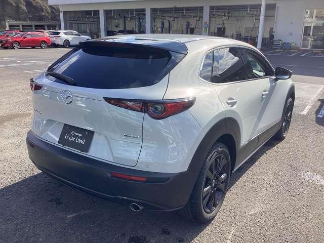 ���Ђł͂��Ԃ����łȂ��A�Ԍ��_���͖ܘ_�����ԕی�����h���A�p�[�c�̔���t�܂ŃJ�[���C�t�̑S�Ăɂ����ăT�|�[�g�����Ē����Ă���܂��B�ڂ����͓X���X�^�b�t�ւ��q�ˉ������B